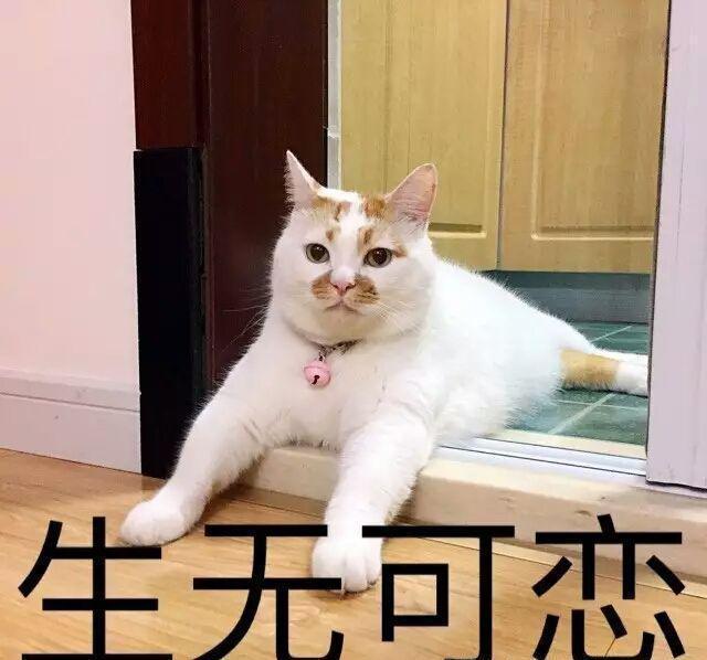 |搞笑段子:男子出差回家,并没有告诉家人,到家门口时偷偷听见