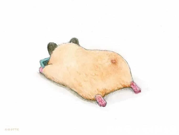 小仓鼠&他的插画主角是一只仓鼠,可爱的举动,萌到心都化了