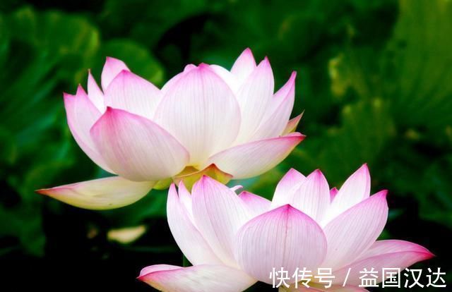 小富|人到五十，这三种行为会败光你的人缘，少做一件是一件