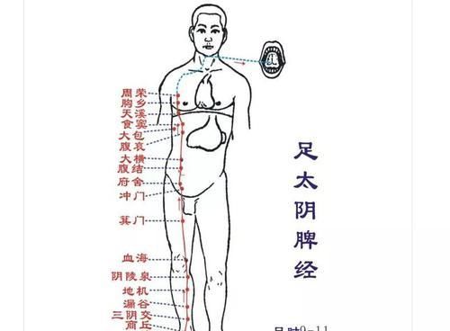  寒湿脚下起，病从脚底除！老中医绝招：一病一方，给五脏吃补药