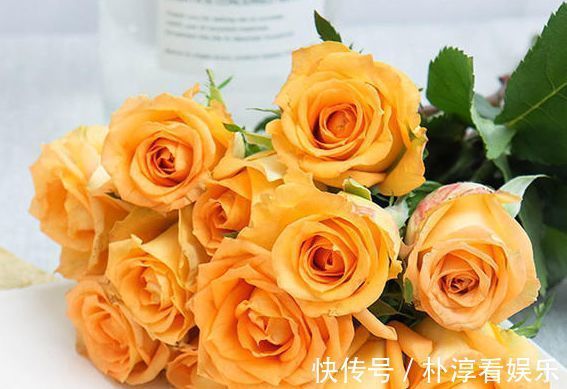 子持莲华|喜欢牡丹,不如养“优良玫瑰”假日公主,花开金光四射,热情似火