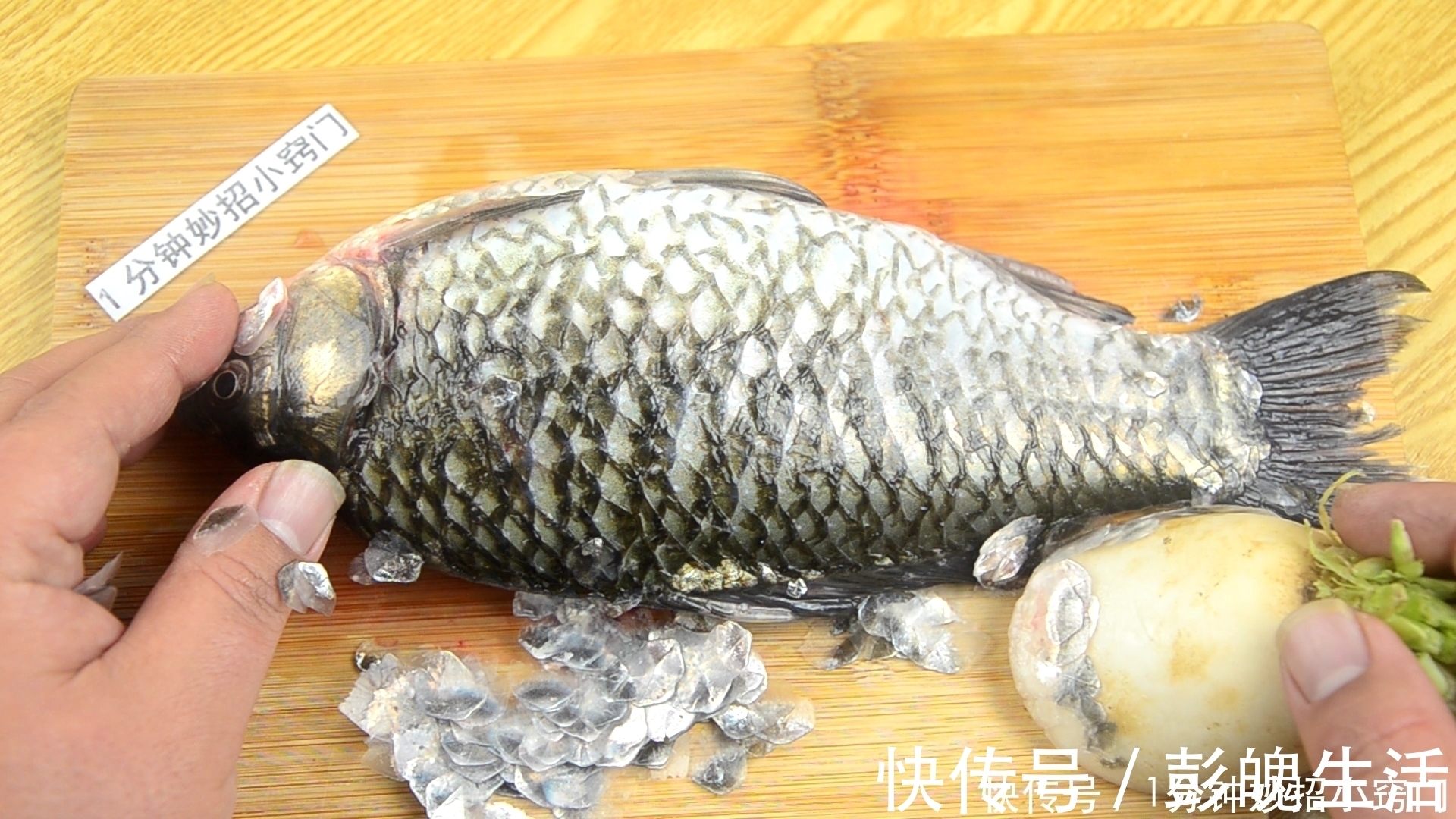 白萝卜|刮鱼鳞原来这么简单，只要一个塑料袋，鱼鳞不乱飞不脏手，真省事