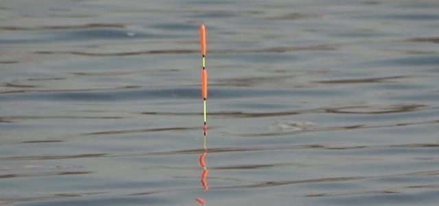 钓鱼窝料投掷了不少，怎么判断发窝了呢