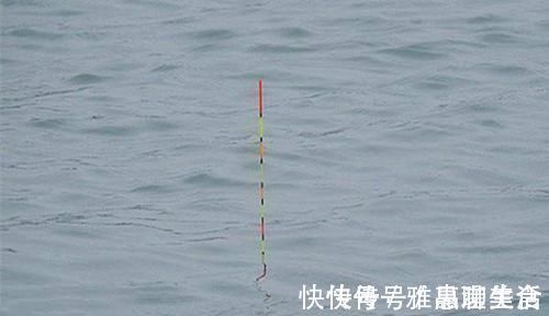 垂钓|手竿速钓白条好方法，牢记这些要点，白条连竿上，狂拉到手酸！