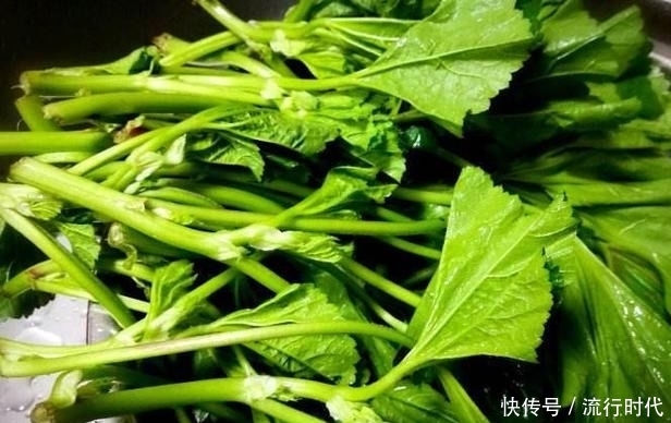 女性適合吃以下食物,祛皺潤膚,補血益氣,越吃越年輕