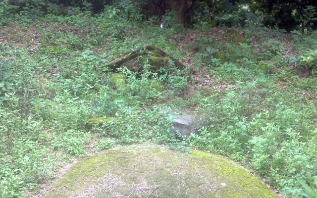 古人|金沙遗址新发现,揭开古人将哪种作物当主食专家我们也没想到