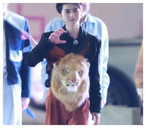 身高差|188陈飞宇跟184蔡徐坤同框，身高差咋了，谎报身高的站出来