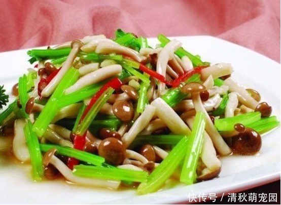 招待|亲朋好友聚餐再也不愁,样样好吃下饭,招待客人很不错特别鲜美