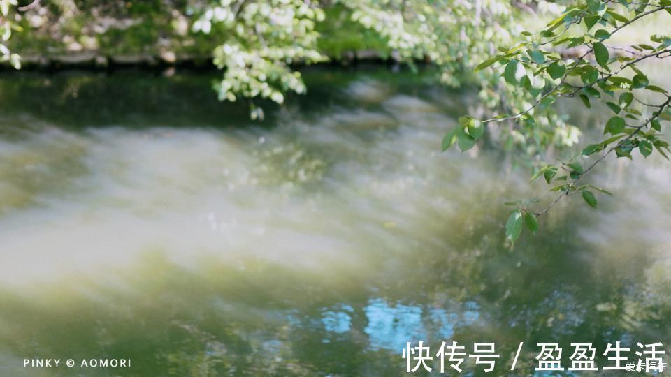 青森|日本青森夏日祭--神秘而热闹的睡魔祭