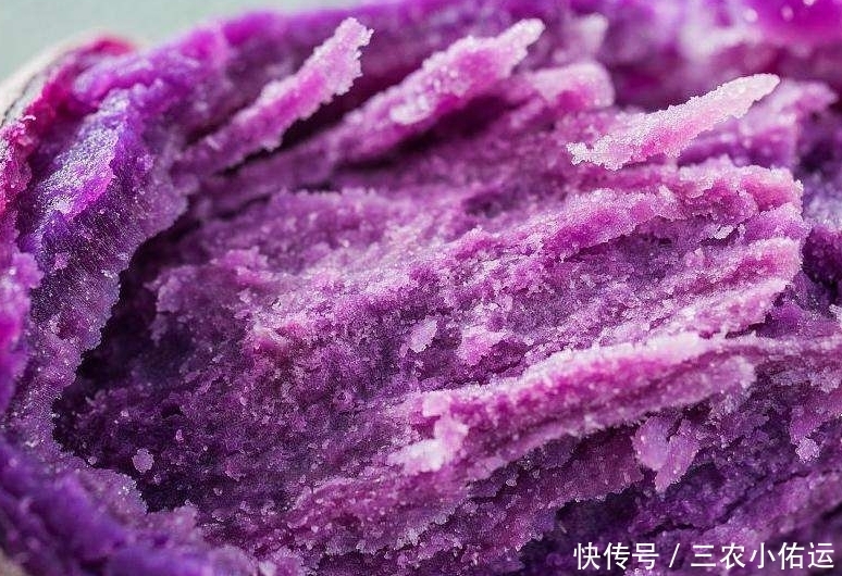 优质|紫薯增强记忆,修补心肌,重视紫薯田间管理,收获优质美味紫薯来