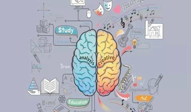 孩子|李玫瑾教授孩子聪不聪明,看他的“手”就知道,不用等长大