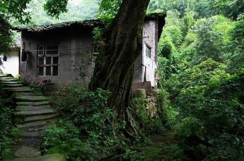 美景|中国即将消失的九大美景，重庆这个被遗弃的村庄很美