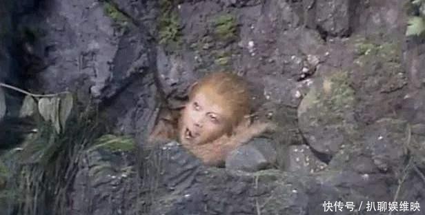 龙王|哪吒闹海太乙真人出头,孙悟空闹天宫,为何菩提却连面都没漏?