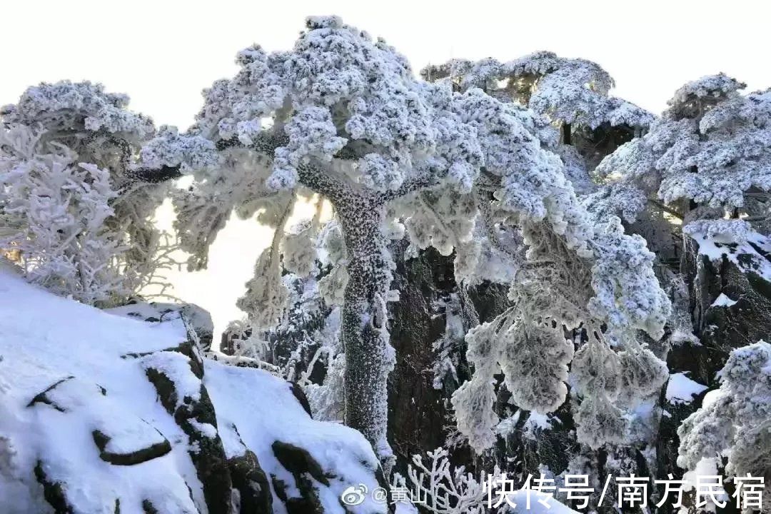 南方|国内这3家精品民宿承包了你的春节假期丨南方民宿