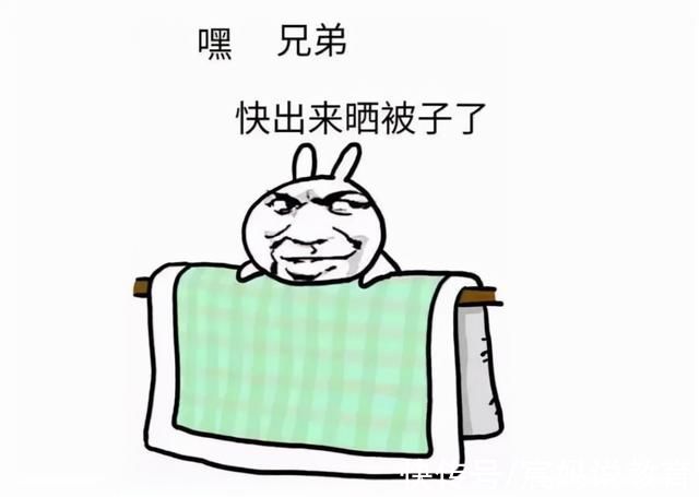 晾衣绳|大学生花式“晒被子”火了，创意满分逗笑网友，网友表示学到了