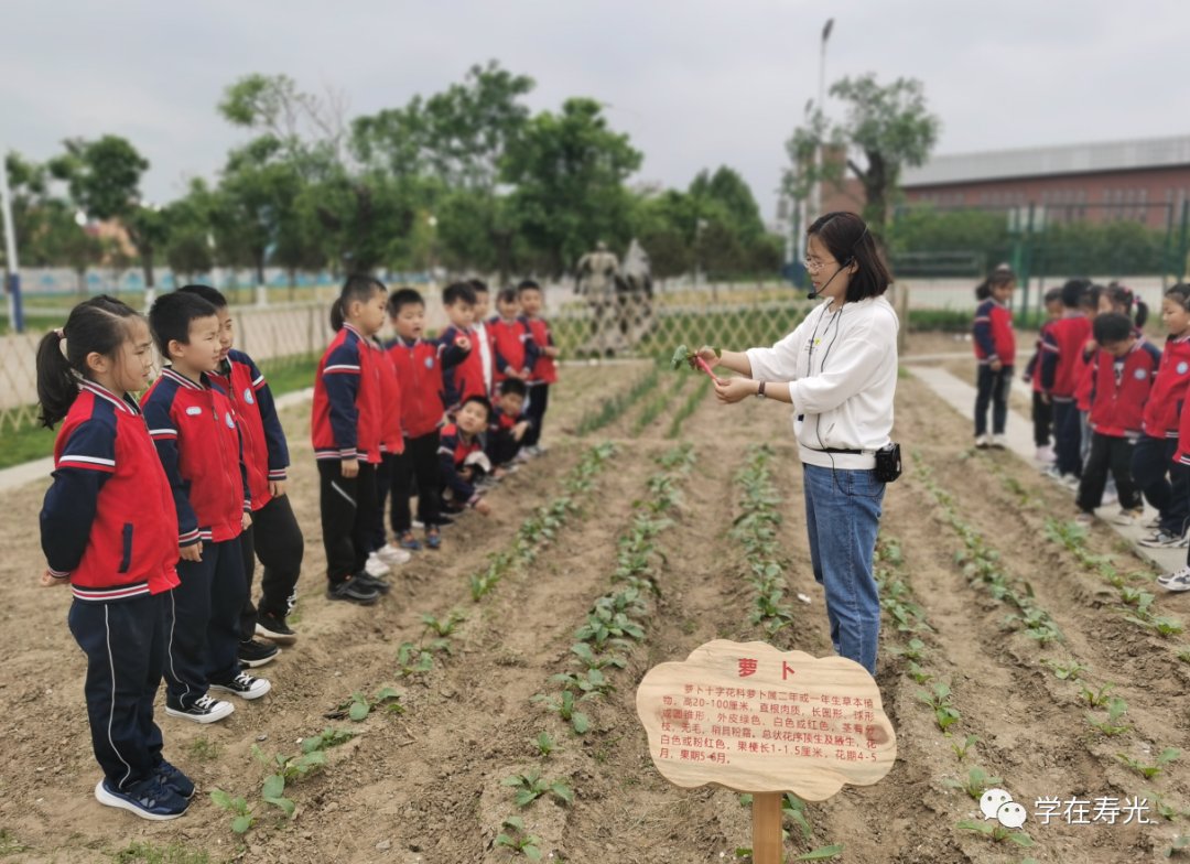 级部|劳动教育┆博耕实践绿校园，劳动教育润童心