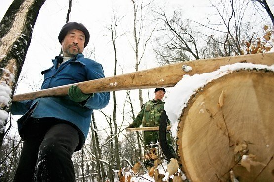 伐木工人|东北木帮在长白山伐木，生活艰苦，取暖的工具竟叫“龟壳”炉子