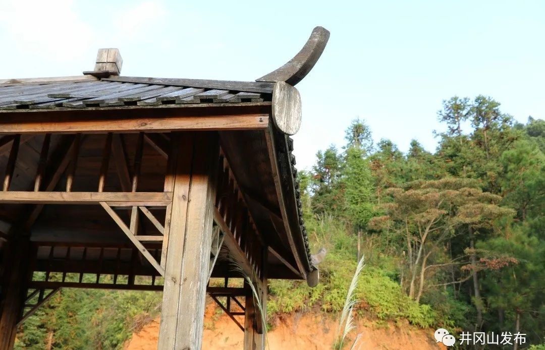 诗歌《遇见九陇山根据地》