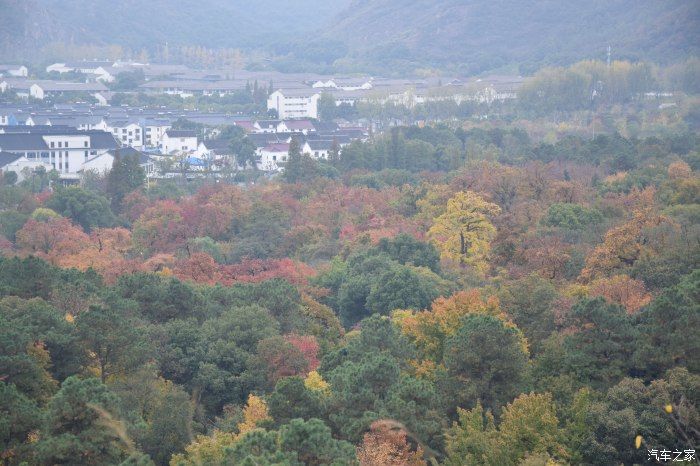 天平山|【喜迎国庆】停车坐爱枫林晚，霜叶红于二月花。游天平山赏枫叶