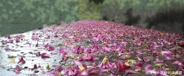 格律|如何用“朝花夕拾”写与众不同的藏头诗?