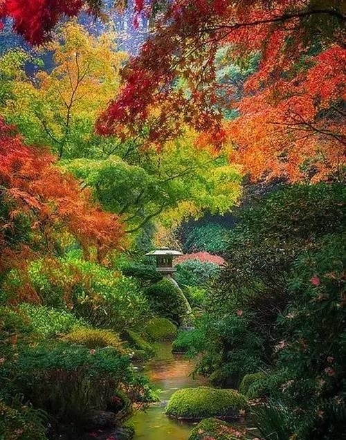 中老年人|50岁以后,不要自作多情