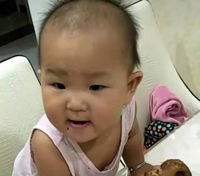 烤鸭|女子买回一只烤鸭,转身烤鸭不见了,来到客厅一看乐坏了