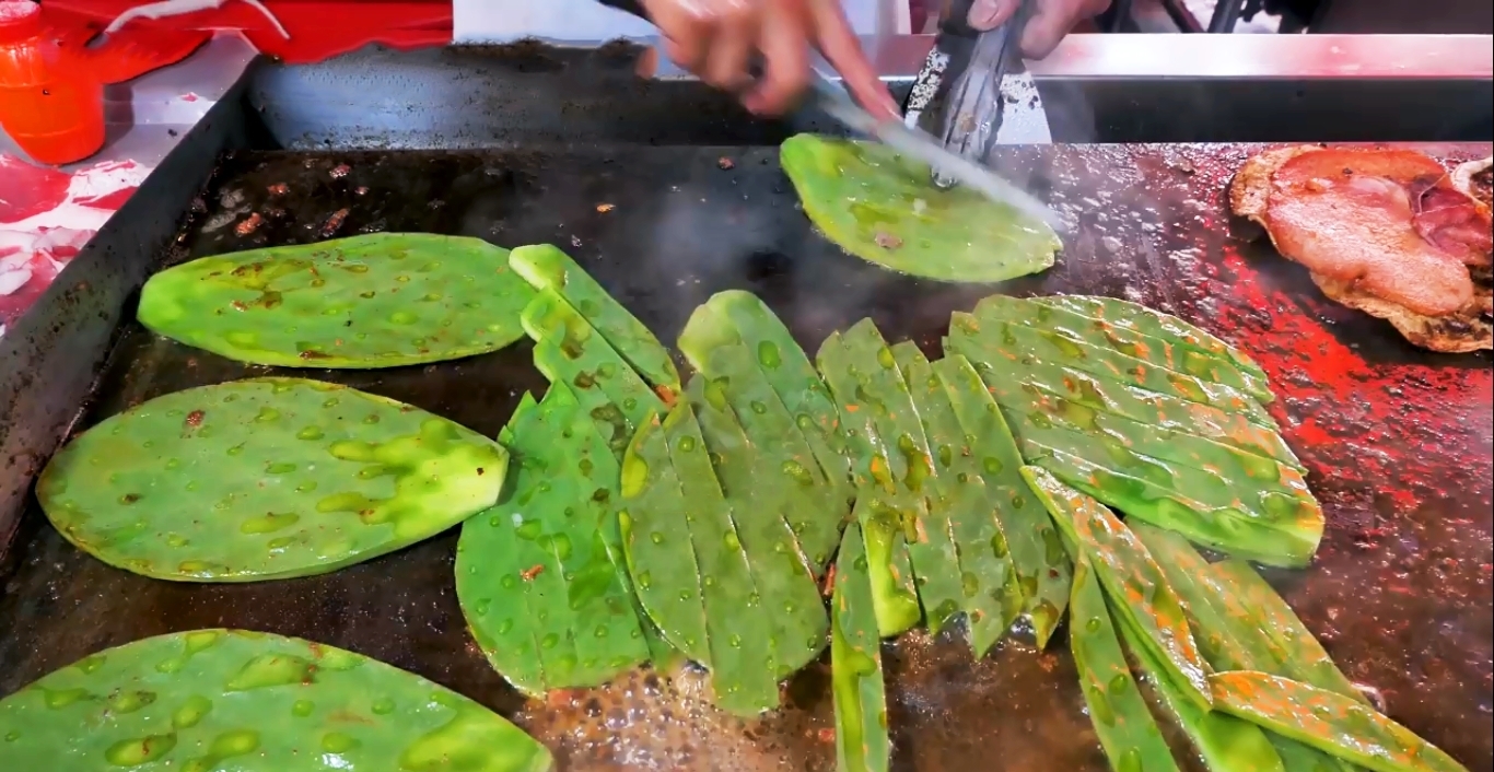 吃仙人掌|我们当观赏植物的仙人掌，他们当蔬菜吃，顿顿吃都不腻！