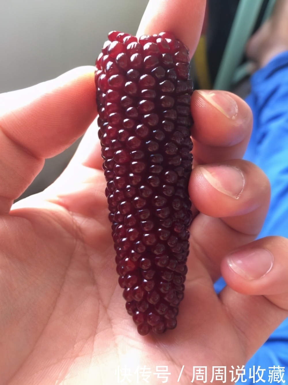 坑货|曾经在文玩市场上异常爆火的几种文玩坑货