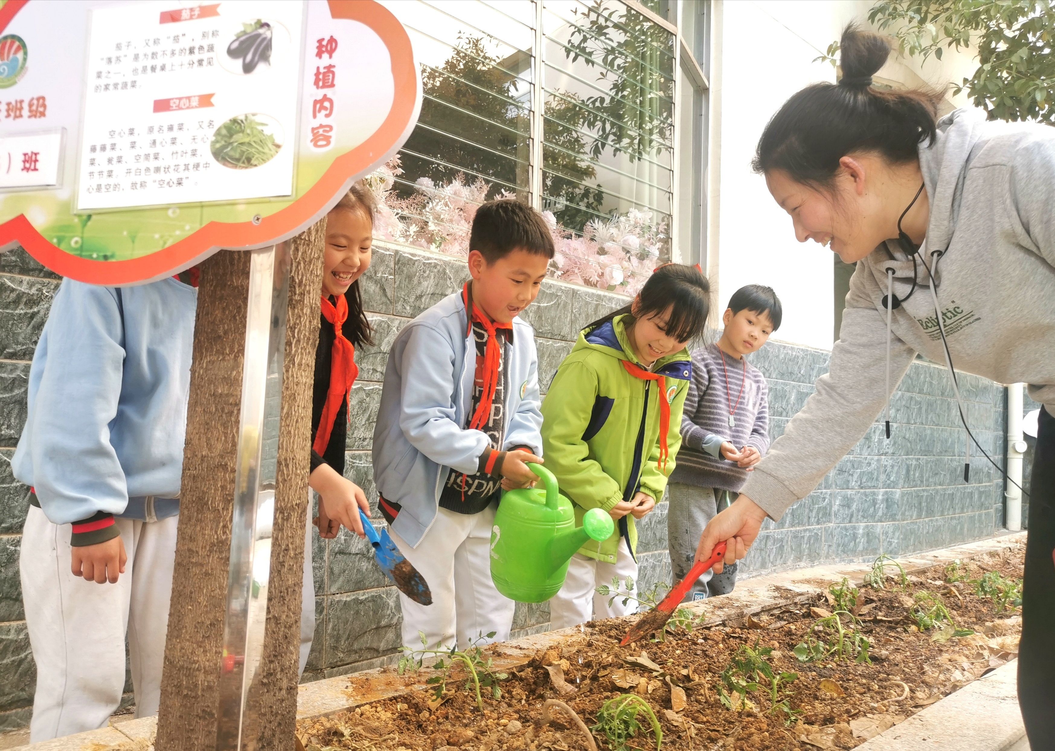 赣州市白云小学开展劳动教育实践活动