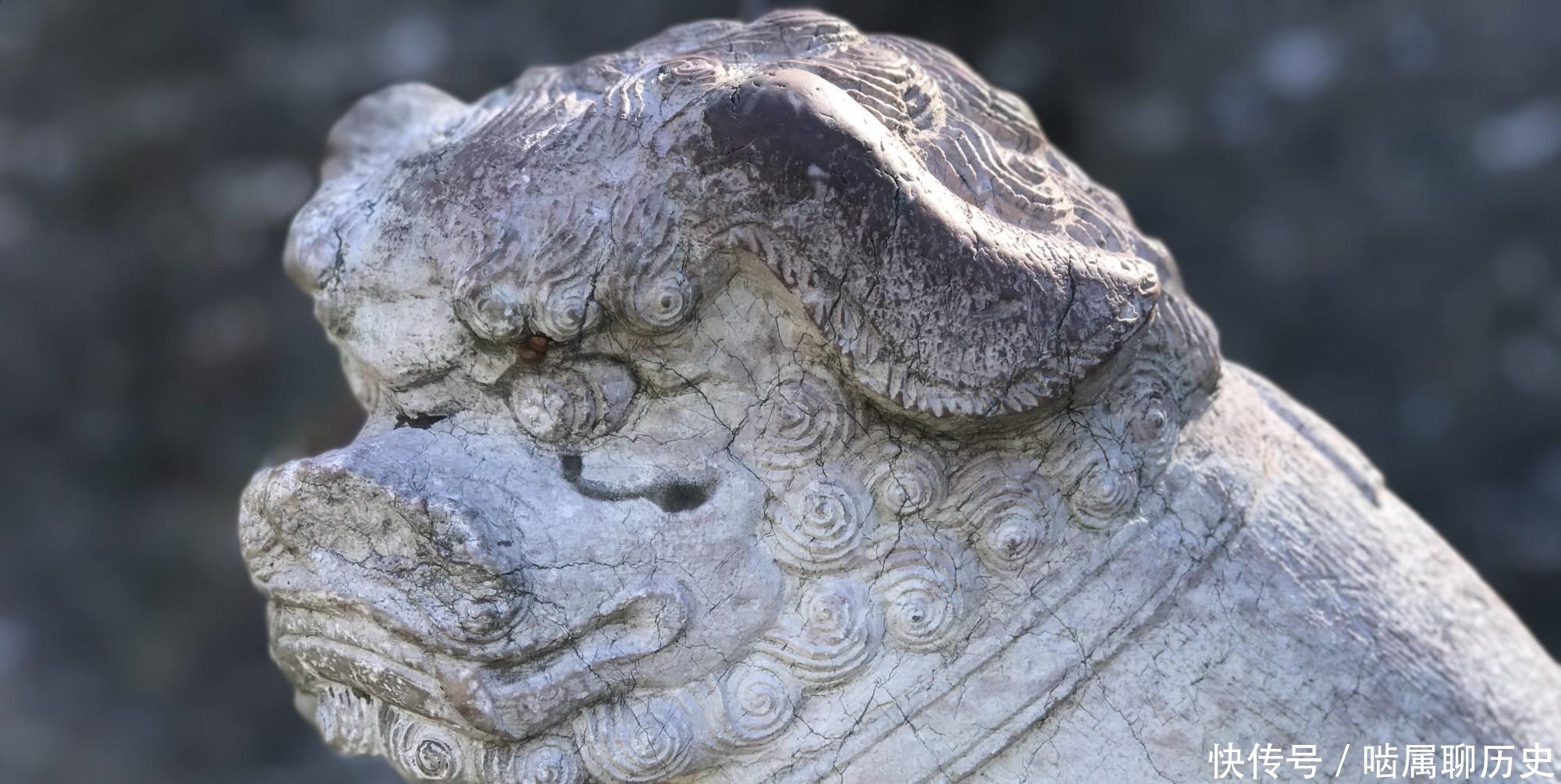  为自己建陵|清福陵中的瑞兽，呆、萌、拙、美