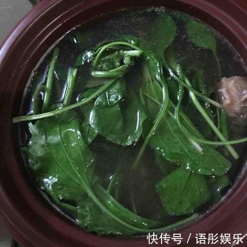 农民开春就挖,城里人想吃买不到,一斤卖到18元,市场供不应求