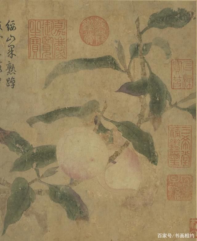 松鼠&赏画|元代画家钱选《桃枝松鼠图》