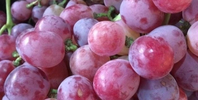 肌瘤|4物是子宫肌瘤的冤家，女性坚持每天吃，或助你活血化瘀消肌瘤