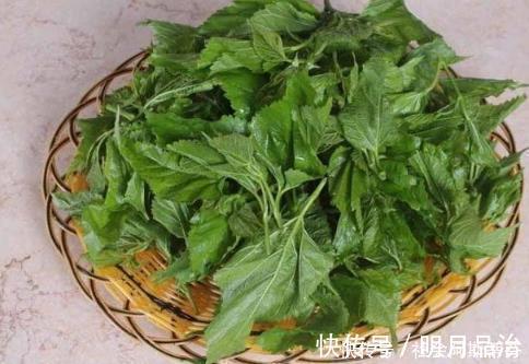 健康|天然“胰岛素”终于被发现了,喝水时放点,无副作用,血糖更平稳