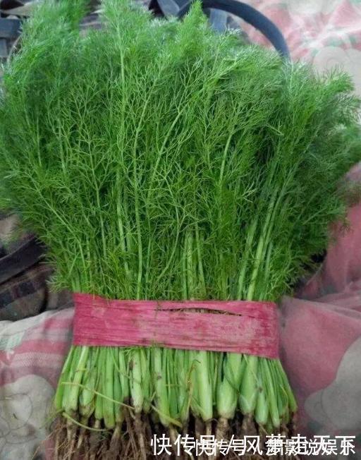 肥胖|湿气重吃这道菜，每日炒一盘轻松瘦身，软化血管，体重变2位数