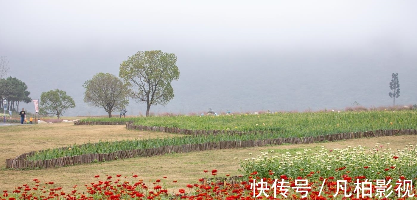 东洼|冬瓜村 一个秋天里五彩斑斓的童话