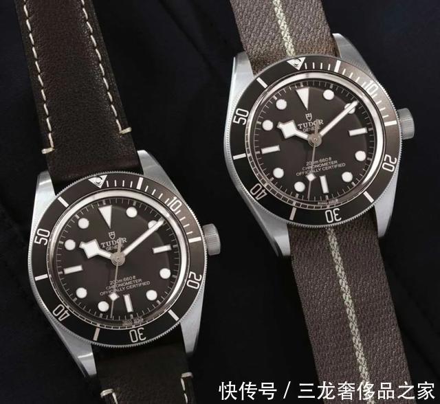 公价2万到12万,2021新表第一波,总有你喜欢的一只