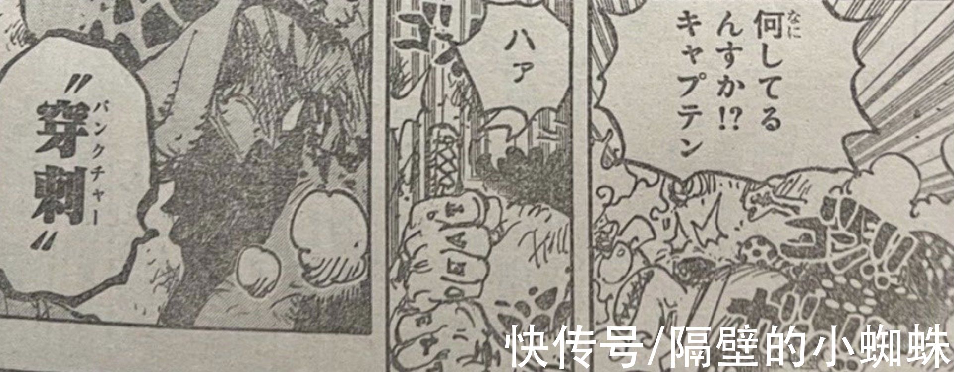小蜘蛛|海贼王1039话，官方吐槽再现！尾田让罗强行重创大妈，实锤剧情杀