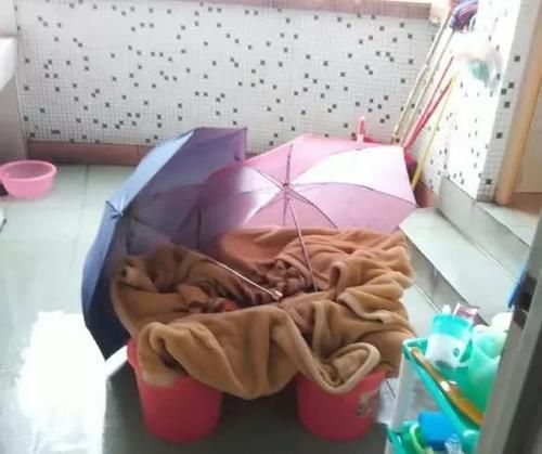  毛毯|听说，你家里也有一床没咋洗过的花毛毯？