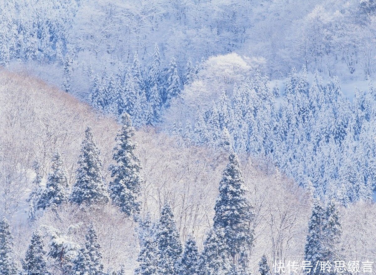  慵懒|白居易《夜雪》，寒夜雪飘，慵懒无心，勾不起一点想象