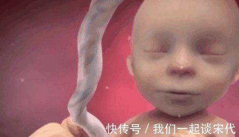 宝宝|胎儿每天在妈妈肚子里忙什么?除了吃和睡,他们有好多事情要忙!