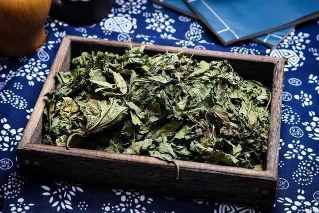 清理血管|人到中年,血液浓稠,用一种叶子泡水喝,清理血管,血栓不来扰