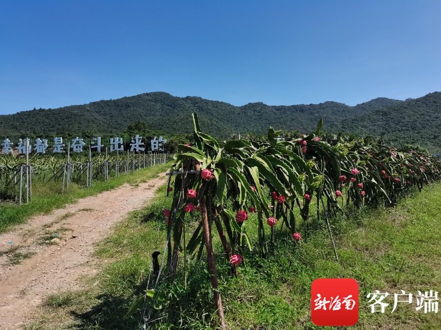 农庄|海南共享农庄现场推进会召开 为共享农庄负责人提供实实在在的“干货”