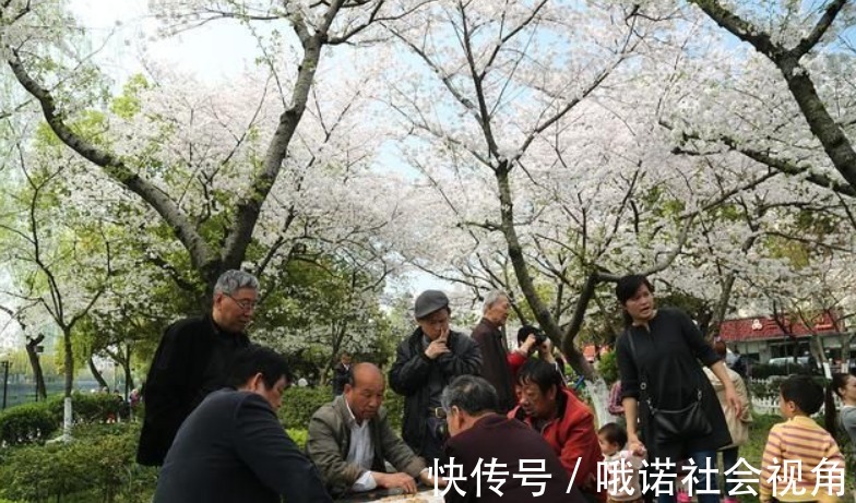 习惯|三个看似养生的习惯，多半是老年痴呆的“帮手”，再喜欢也要改掉