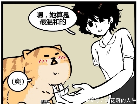 不好|搞笑漫画：原来这个世上真的有遭猫嫌体质，萌猫的心不好懂啊！