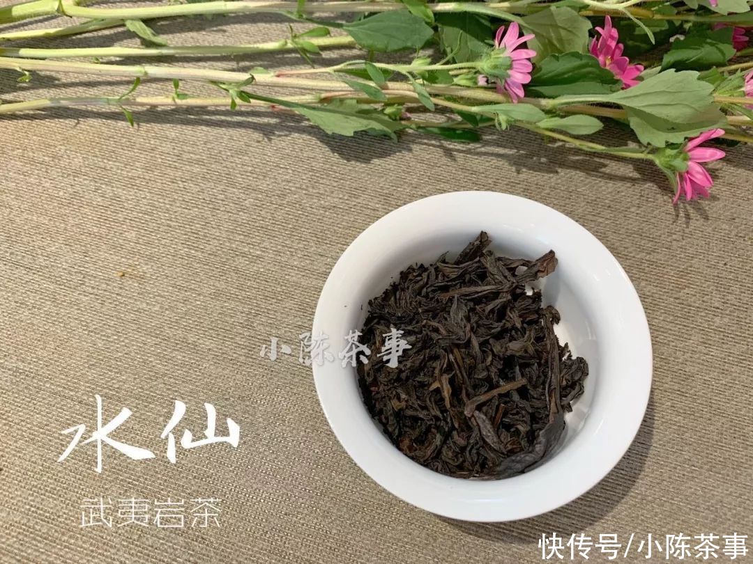 凤凰茶|凤凰单丛、凤凰水仙、岩茶水仙，从历史角度解读水仙茶叶的迁徙史