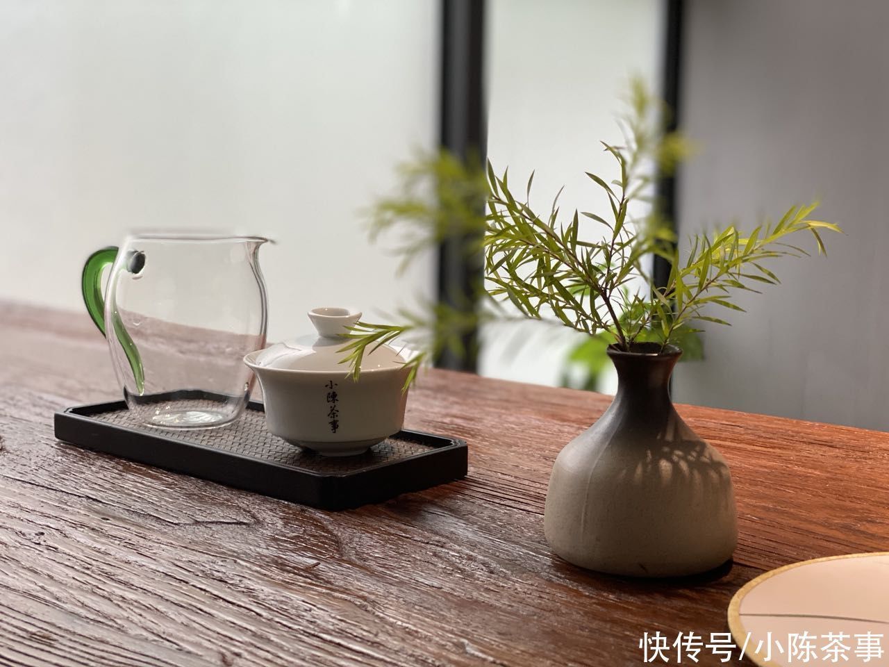 白茶品鉴手记|早上泡杯白茶，晚上再喝？看完这四点原因，答应我别再以身试茶了