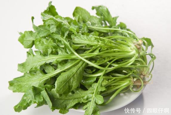 备受冷落的农村野草,古代却是治病良药,老人经常服用延年益寿
