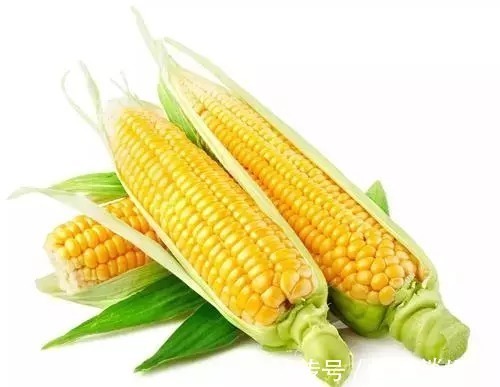 延缓衰老|简简单单4种食物,就可延年益寿?专家提醒:还真是这么回事