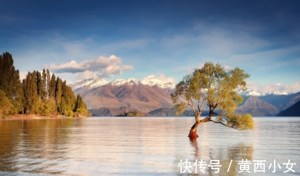 人性格|11月4号后，好运降临，大吉大利，花开富贵，财源滚滚，生活无忧